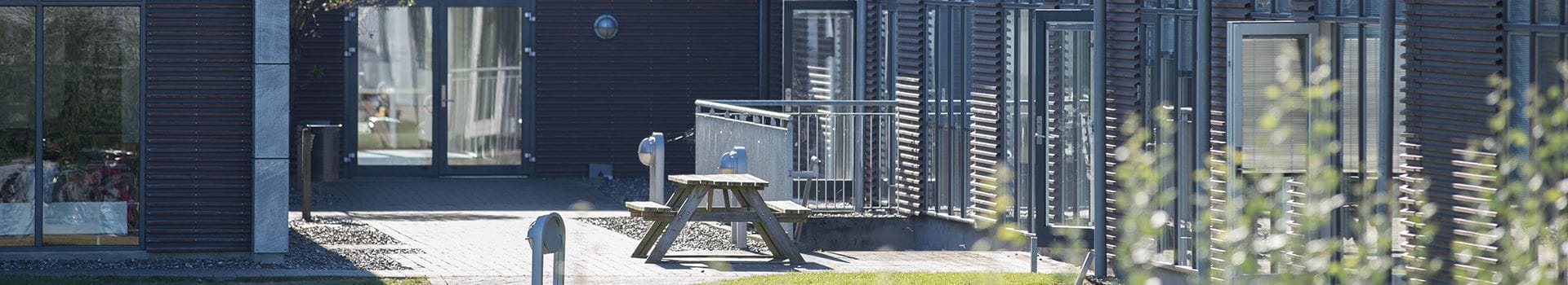 Udendørsbillede sommer